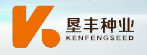 北大荒墾豐種業股份有限公司北安分公司